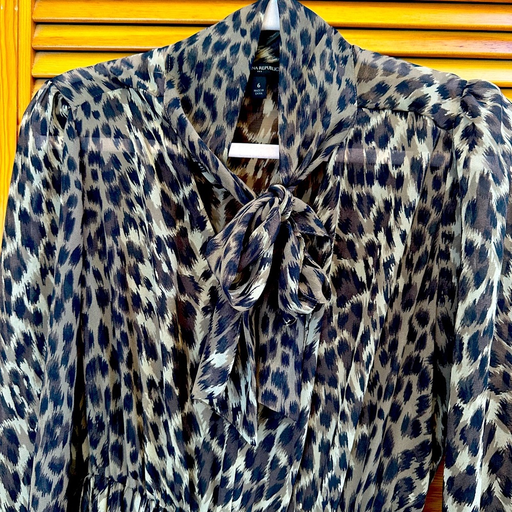 Banana Republic sheer leopard dress